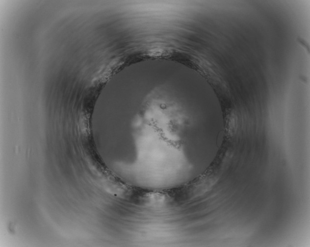 X0000102810272200808181230