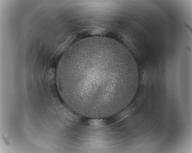 X0000102810273200808181230