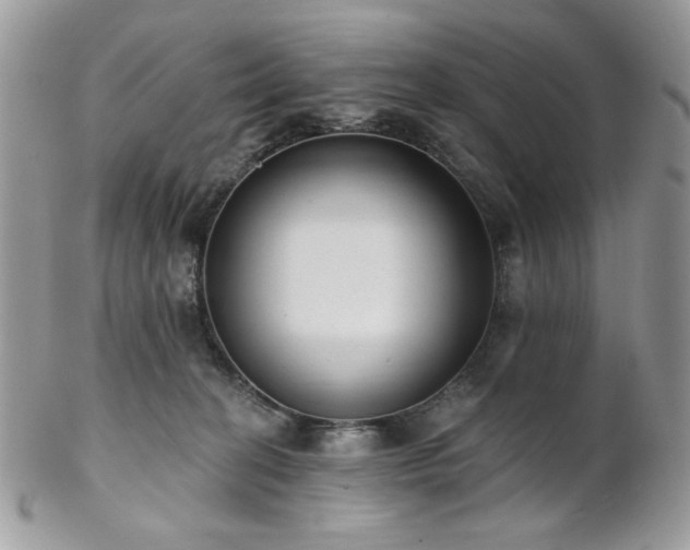 X0000102810274200808181230