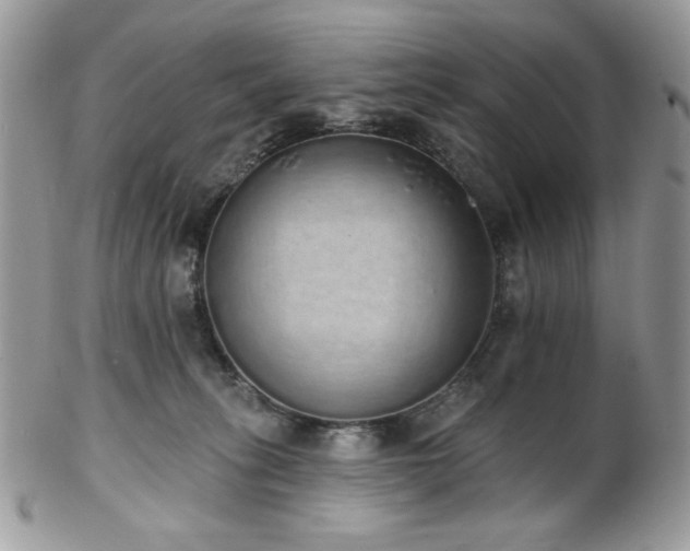 X0000102810275200808181230