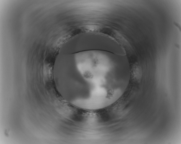 X0000102810276200808181230