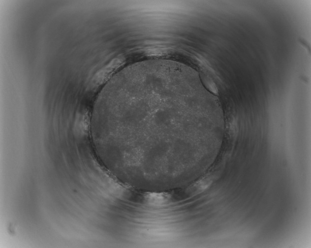 X0000102810277200808181230