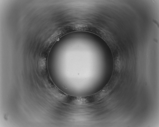 X0000102810278200808181230