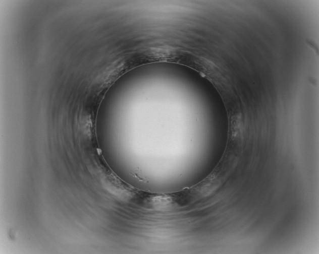 X0000102810279200808181230