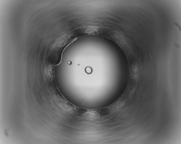 X0000102810280200808181230