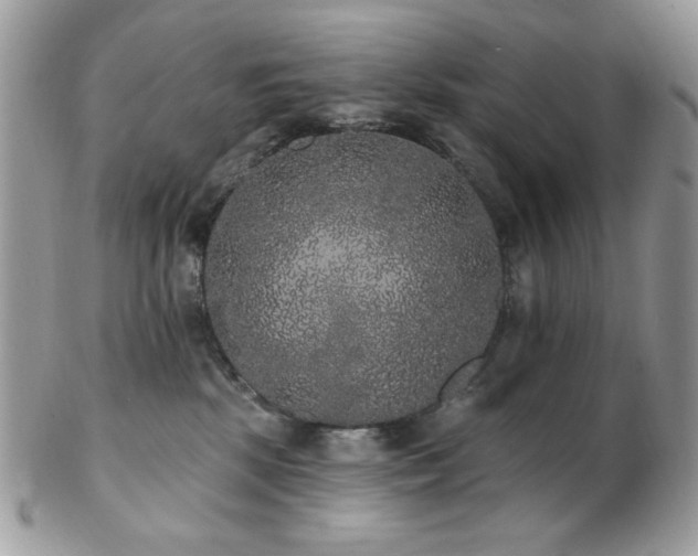 X0000102810281200808181230