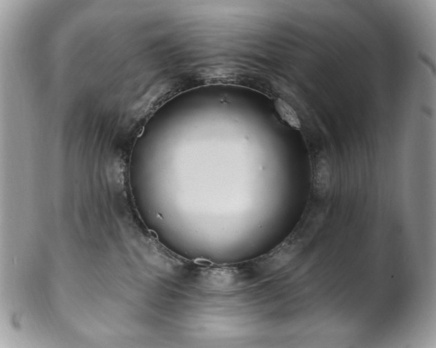 X0000102810282200808181230