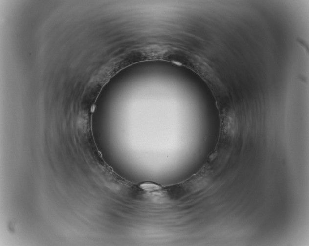 X0000102810283200808181230