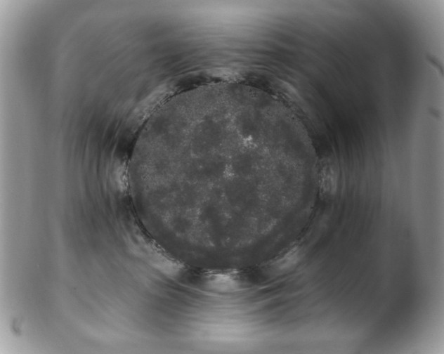 X0000102810285200808181230