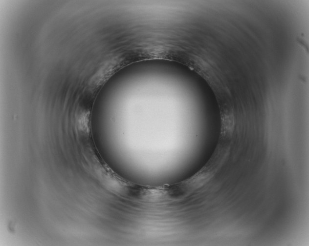 X0000102810286200808181230