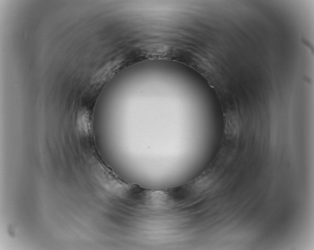 X0000102810287200808181230