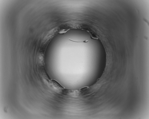 X0000102810288200808181230