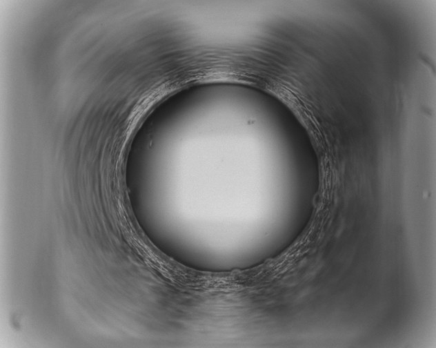 X0000102810289200808181229