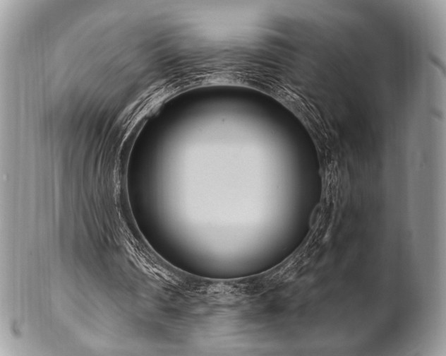 X0000102810290200808181229