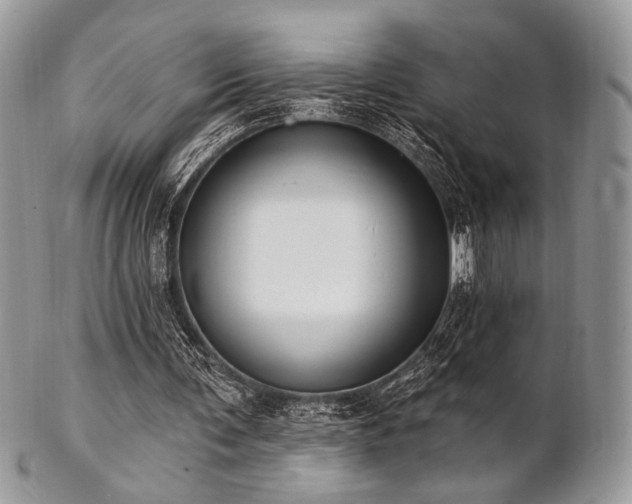 X0000102810291200808181229