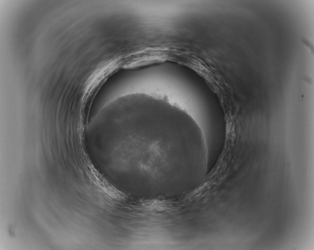 X0000102810293200808181229