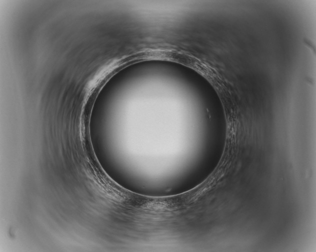 X0000102810294200808181229