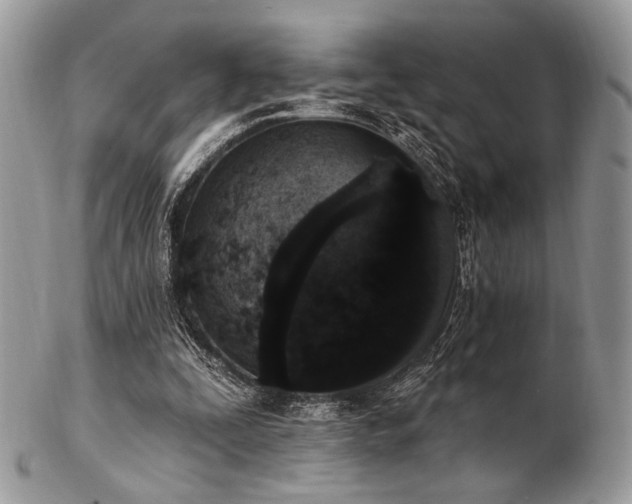 X0000102810295200808181229