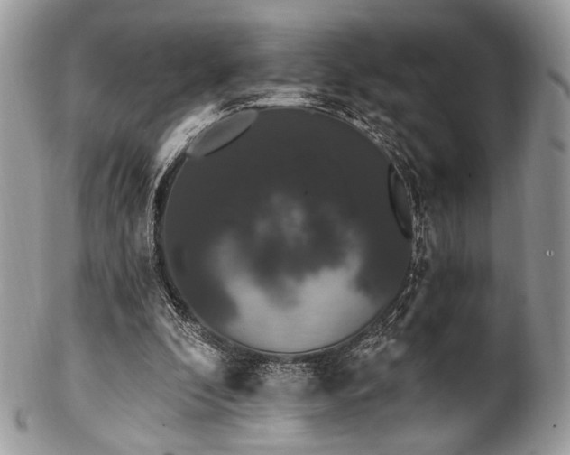 X0000102810296200808181229