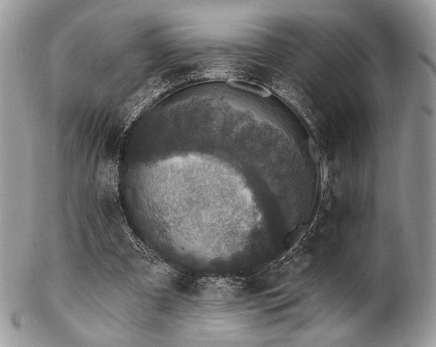 X0000102810297200808181229