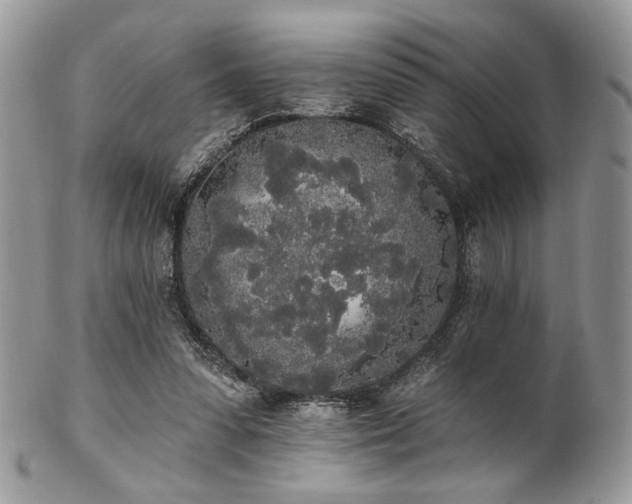 X0000102810303200808181229