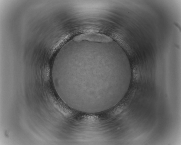 X0000102810304200808181229