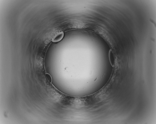 X0000102810305200808181229