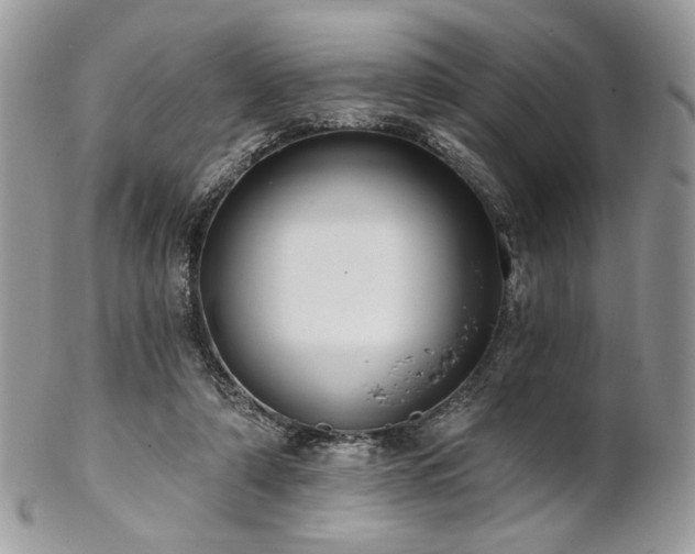 X0000102810306200808181229