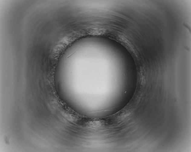 X0000102810307200808181229