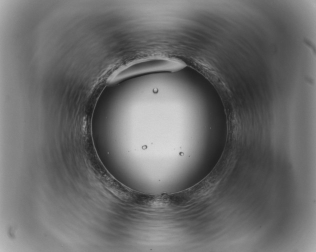 X0000102810308200808181229