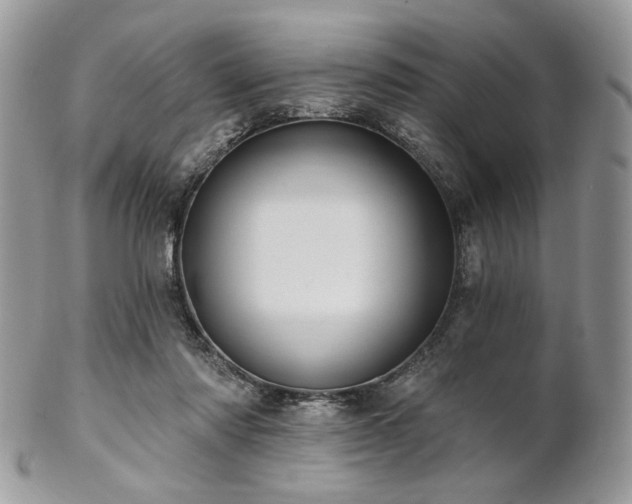 X0000102810310200808181229