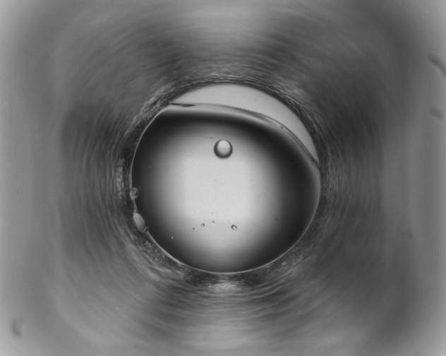 X0000102810312200808181229