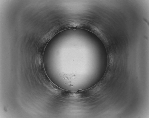 X0000102810313200808181229