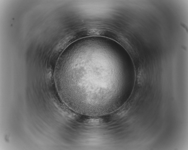 X0000102810314200808181229