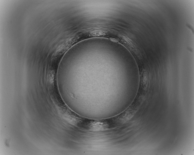 X0000102810315200808181229