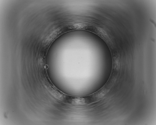 X0000102810317200808181229