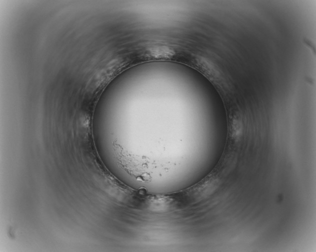 X0000102810321200808181229