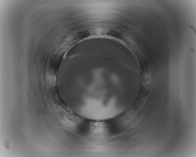 X0000102810324200808181229