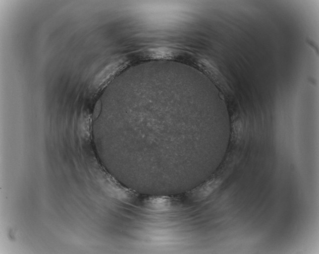 X0000102810325200808181229