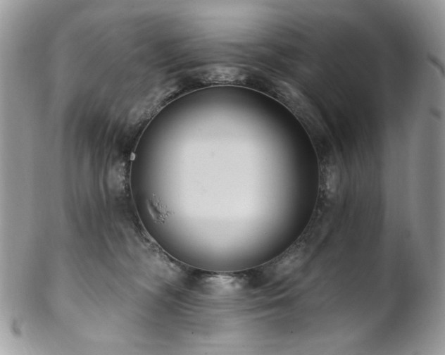 X0000102810326200808181229