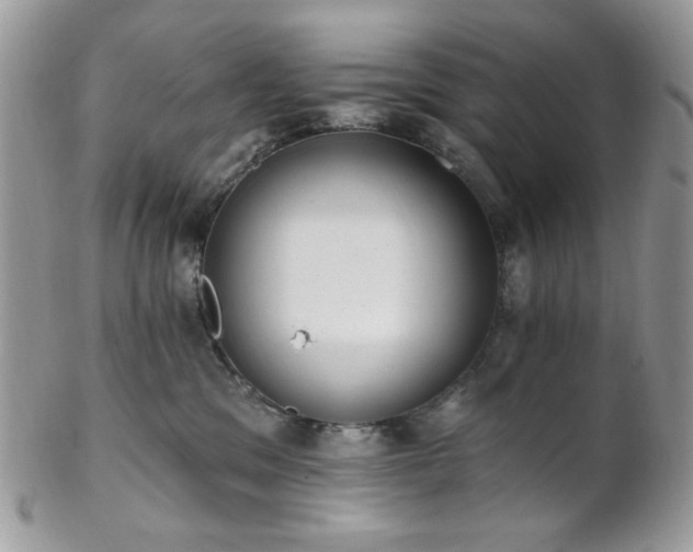 X0000102810329200808181229