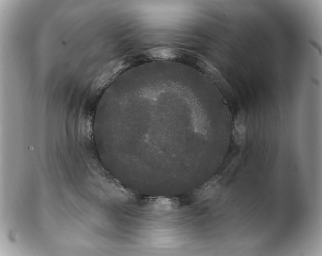 X0000102810330200808181229