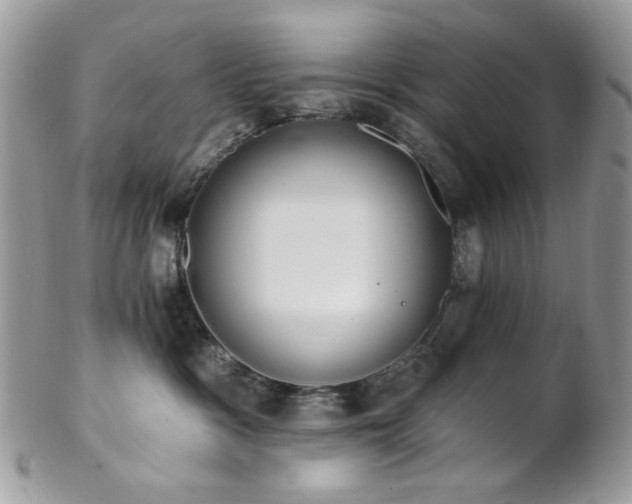 X0000102810333200808181229