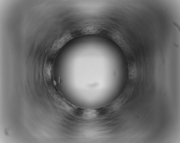 X0000102810334200808181229