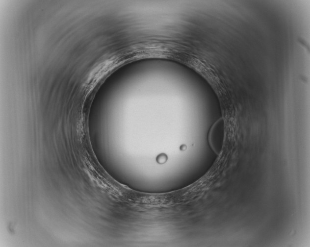 X0000102810338200808181228