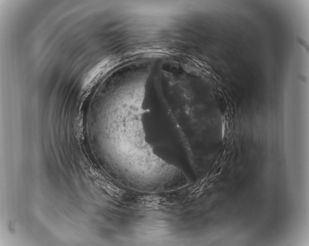 X0000102810339200808181228