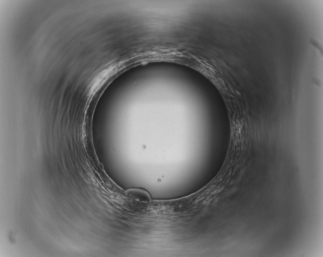 X0000102810340200808181228