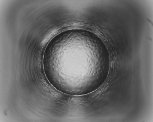 X0000102810341200808181228