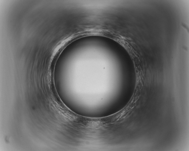 X0000102810342200808181228