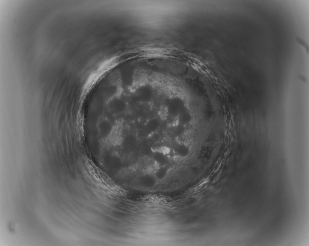 X0000102810343200808181228